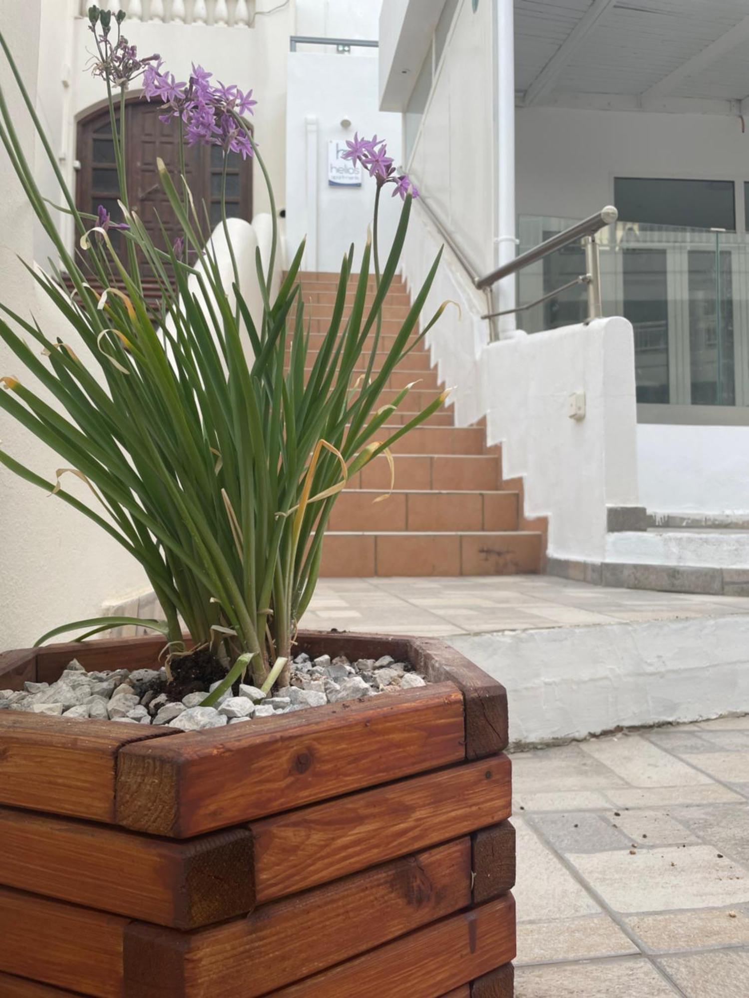 Helios Apartments Plakias Dış mekan fotoğraf